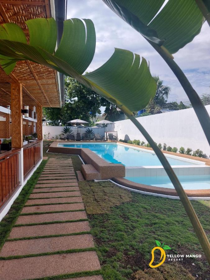 Yellow Mango Resort Bohol Panglao Esterno foto